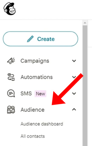 MailChimp-Audience.jpg